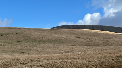 landscape in the mountains
