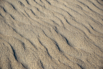 Sand desert background and texture