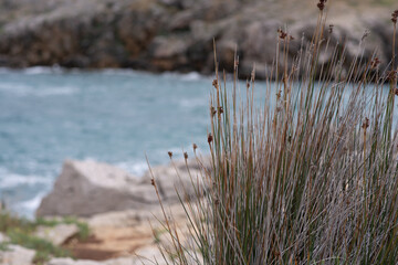 Rocky coastline overlooking the adriatic sea near silo on krk island, croatia