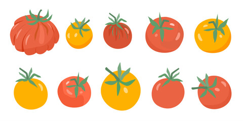 Set of red and yellow ripe tomatoes with green tails of different shapes and sizes on white isolated background. Cute vector illustration of vegetables drawn by hand in simple style.