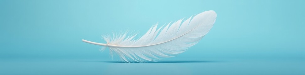 Delicate white feather floats on serene blue Minimalist design aesthetic , nature, abstract, isolated