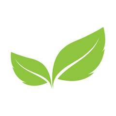 leaf ecology  logo and vector template