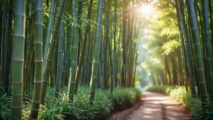 Serene Bamboo Forest Path: Tranquil Nature Scene
