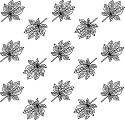 Leaf icon seamless pattern. Set of various leaves. Hand drawn leaves design
