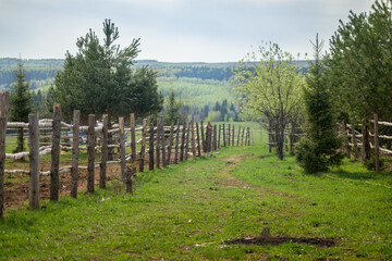 Obraz premium Rustic Weathered Fence Leading Through Green Pastoral Landscape