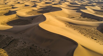 Aerial view of a desert with wind-sculpted sand dunes and long shadows