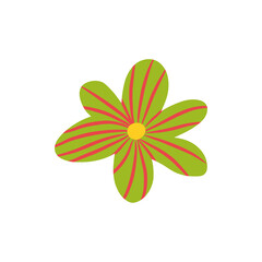 Retro groovy daisy flower isolated on white background. Flat flower vector design