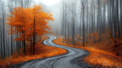Obraz premium Winding Autumn Road Through Misty Forest with Vibrant Orange Leaves