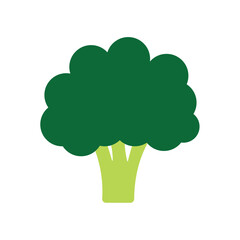 broccoli vegetables food icon vector
