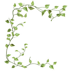 Obraz premium green leaves frame set design nature isolated on transparent background