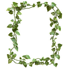 Set leaf ornate elegant border isolated on transparent background