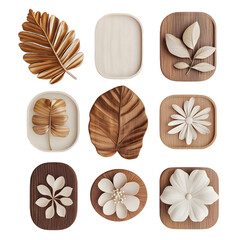 Set nature leaves style design isolated on transparent background