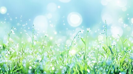 Obraz premium Green fresh grass lawn in Spring.