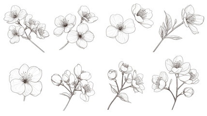 和風桜の線画イラスト｜エレガントな桜アイコン集