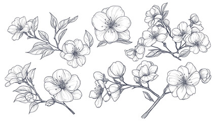 桜の花スケッチ風イラスト｜モノクロデザインの桜の枝と花のセット