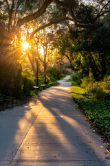 Obraz premium Golden Dawn: A Sunrise Scene on the Secluded SJ Jogging Trails