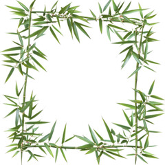 Naklejka premium Set bamboos frame leaf decor isolated on transparent background