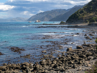Rocky Shore on the Ocean Near Kaikoura, New Zealand