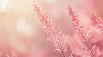 Naklejka premium A pale pink background with a velvety texture, providing a calming and soft backdrop with plenty of space for creative overlays.