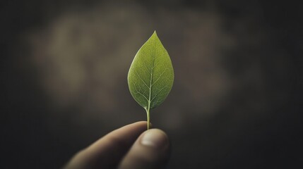 Single green leaf held between fingers against blurred background.