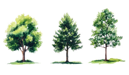 Obraz premium Artistic Watercolor Forest Transparent