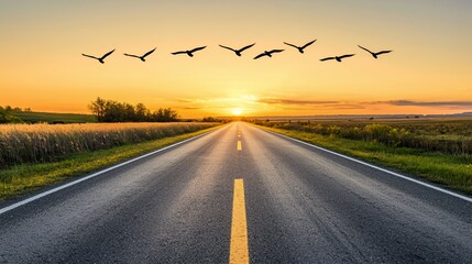 Birds Flying Over a Country Road at Sunset