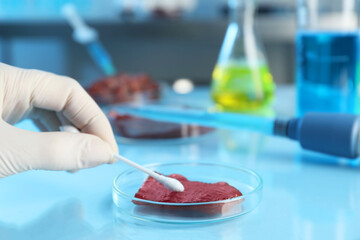 GMO concept. Scientist with swab and piece of meat at table in laboratory, closeup. Space for text