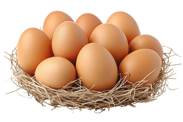 Ten Brown Eggs Nestled in a Bird's Nest
