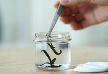 Woman taking leech from jar with tweezers on wooden table, closeup