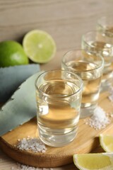 Tequila shots with salt, limes and agave leaves on table, closeup