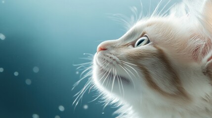 World Veterinary Day highlights the vital role veterinarians play in pet health. This year, the focus is on building strong bonds between pets and caregivers for a better future