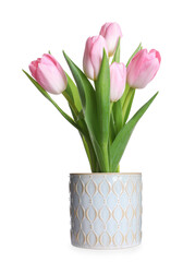 Beautiful pink tulips blooming in ceramic cachepot isolated on white