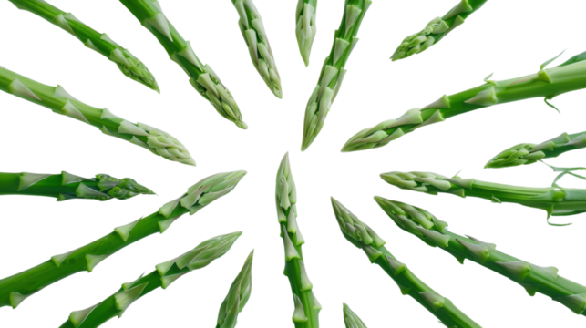 Fresh green asparagus spears converging on transparent background