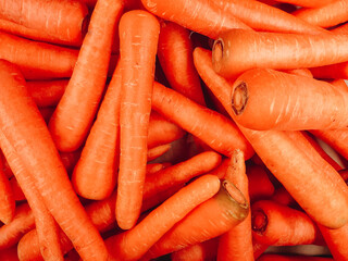 Natural pattern of fresh washed organic carrots. Full of many clean carrots vegetable background.