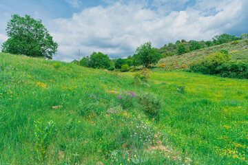 Paisaje de los pirineos al norte de España, Europa.