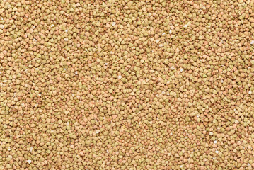 Background texture of buckwheat grains for making soba noodles, Japanese food.