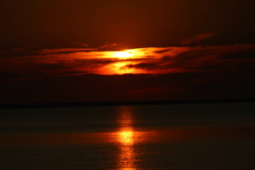 Shimmer
