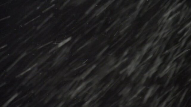 A Real Snowstorm With Snowflakes Flying Quickly And Strong Winds On A Black Background. Ideal For Adding Intense Winter Effects Or Green Screen Projects, Enhancing Your Footage With A Realistic Storm.