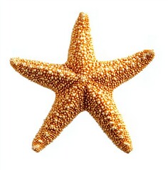 Beautiful Orange Starfish Displaying Intricate Patterns Against a White Background
