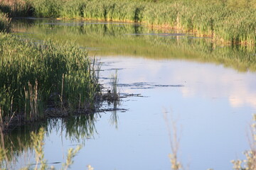 Saskatchewan Scenery Hafford Road Trip