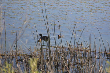Saskatchewan Scenery Hafford Road Trip