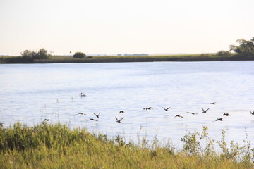 Saskatchewan Scenery Hafford Road Trip