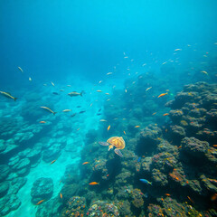 Fototapeta premium Pristine Plastic-Free Ocean with Vibrant Marine Life and Coral Reefs