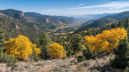 Fototapeta premium Vibrant yellow-leaved trees adorn the mountains, creating a stunning foreground against a serene valley backdrop.