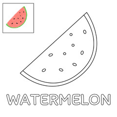 vector illustration of a watermelon. watermelon coloring activity for kids. fruit coloring page