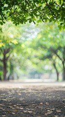 Pathway Through Lush Green Trees on a Sunny Day