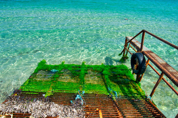 Scenic boat pier on the Greek island of Kos with turquoise water