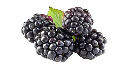 Fresh blackberries showing tiny hairs and green leaf on transparent background