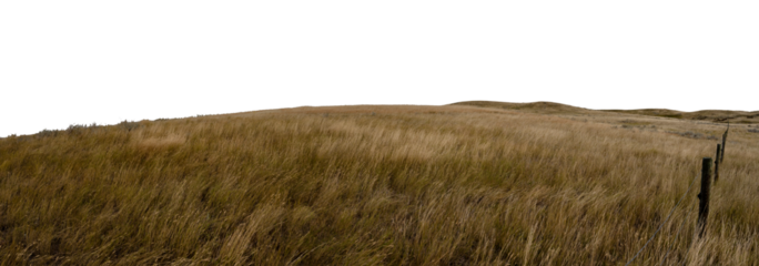 Dry prairie ranch grass blowing in the wind and a barbed wire fence with distant hills and a transparent sky. Panorama
