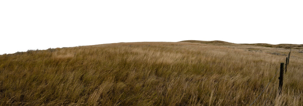 Dry prairie ranch grass blowing in the wind and a barbed wire fence with distant hills and a transparent sky. Panorama
